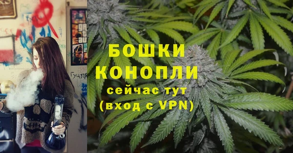 бошки Богданович