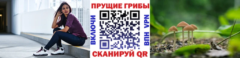 Псилоцибиновые грибы Psilocybine cubensis  Егорьевск 